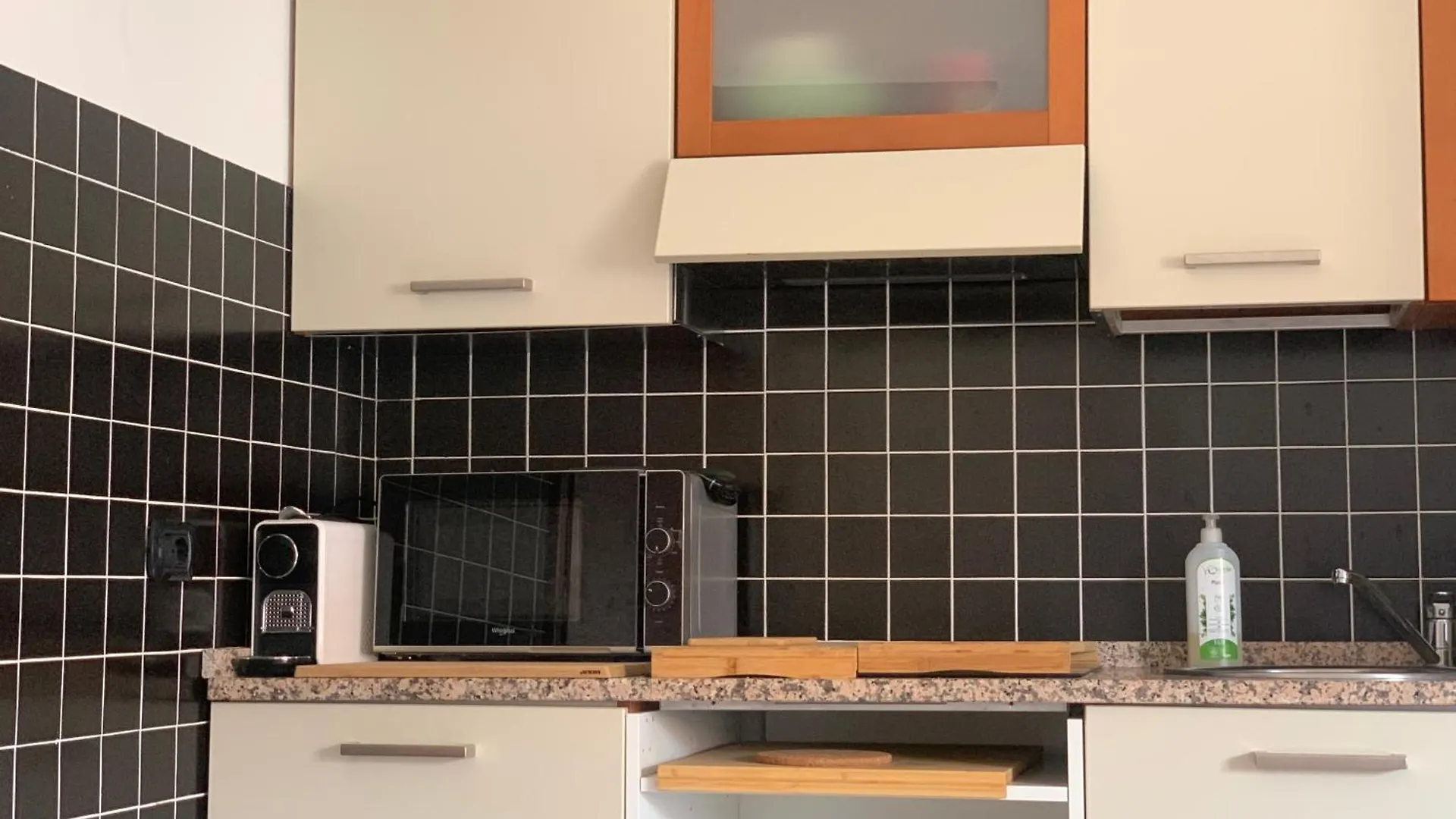 Monoflex Apartment Acquaseria